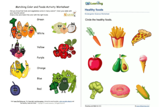 Projekt gesunde ernährung und bewegung grundschule